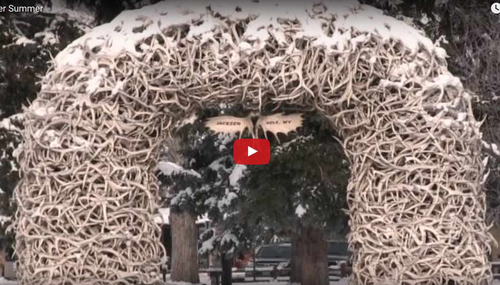 Winter-Summer in Jackson Hole