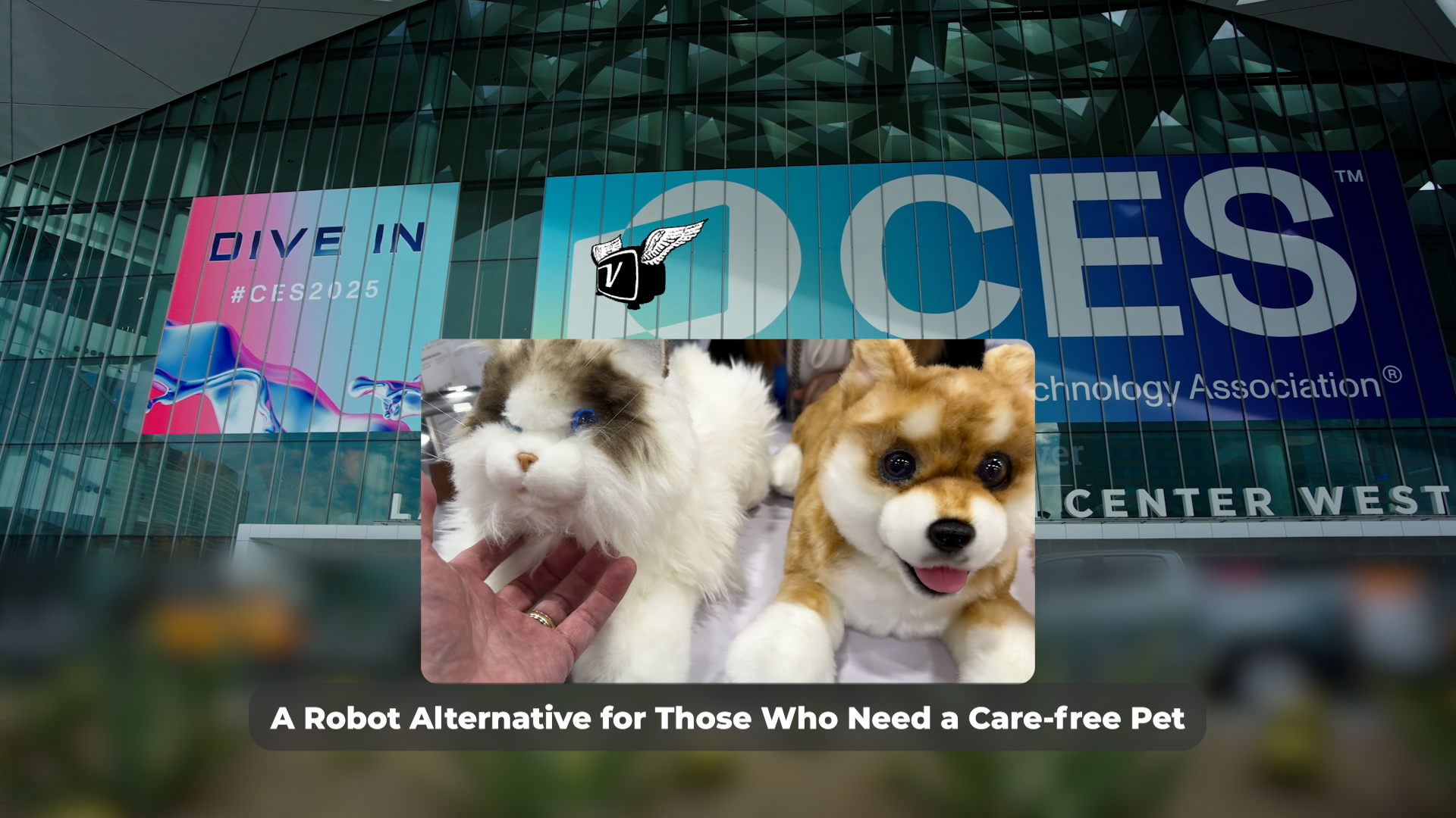 A Robot Alternative for Those Who Need a Care-free Pet